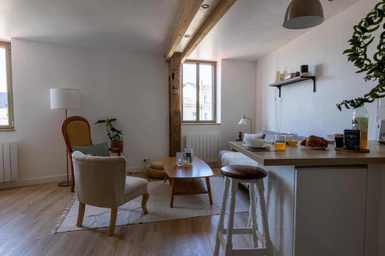 Appartement Duplex Saumur Centre, Refait A Neuf, A Proximite Du Chateau Zewnętrze zdjęcie